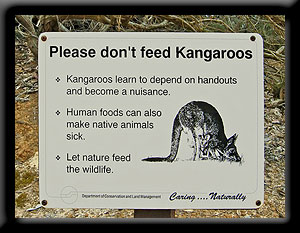 Dont Feed Roos